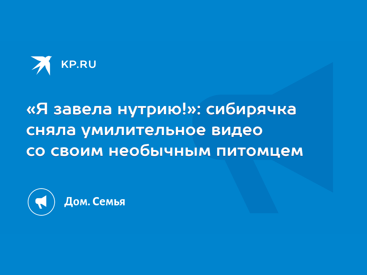 Я завела нутрию!»: сибирячка сняла умилительное видео со своим необычным  питомцем - KP.RU