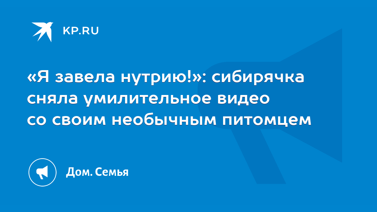 Я завела нутрию!»: сибирячка сняла умилительное видео со своим необычным  питомцем - KP.RU