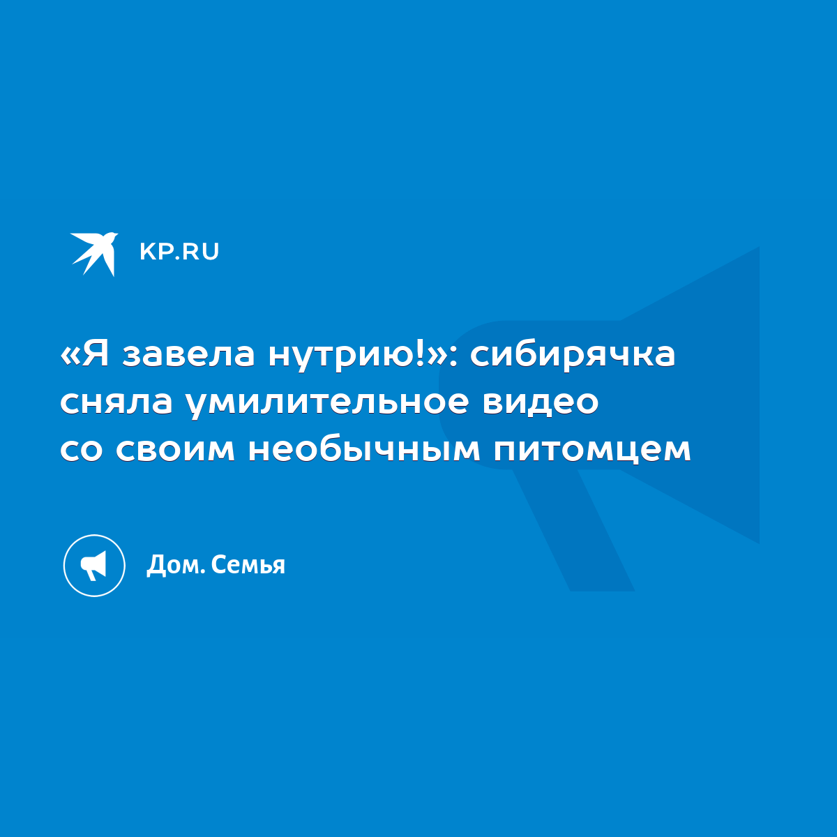 Я завела нутрию!»: сибирячка сняла умилительное видео со своим необычным  питомцем - KP.RU