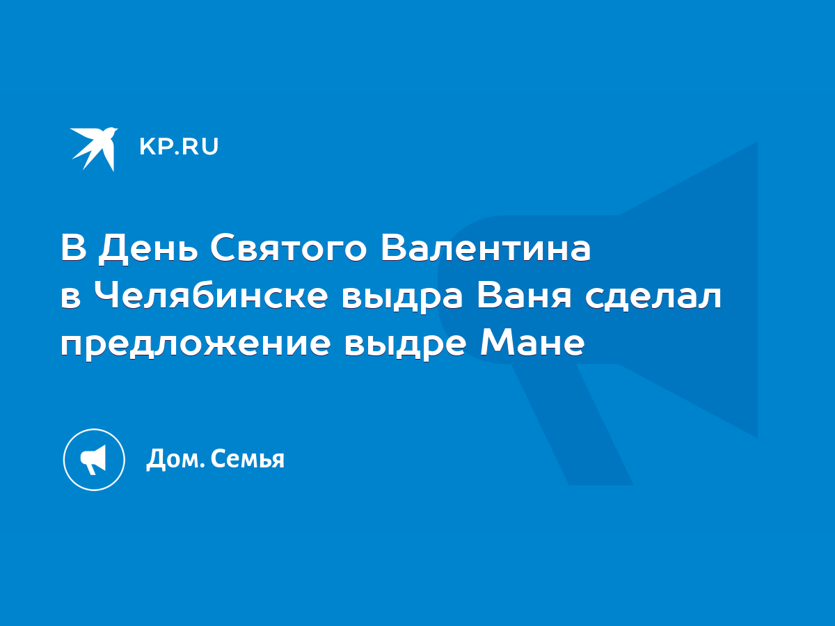 В День Святого Валентина в Челябинске выдра Ваня сделал предложение выдре  Мане - KP.RU