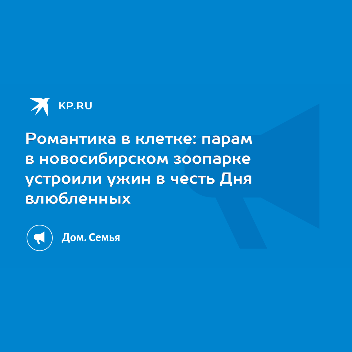 Романтика в клетке: парам в новосибирском зоопарке устроили ужин в честь  Дня влюбленных - KP.RU