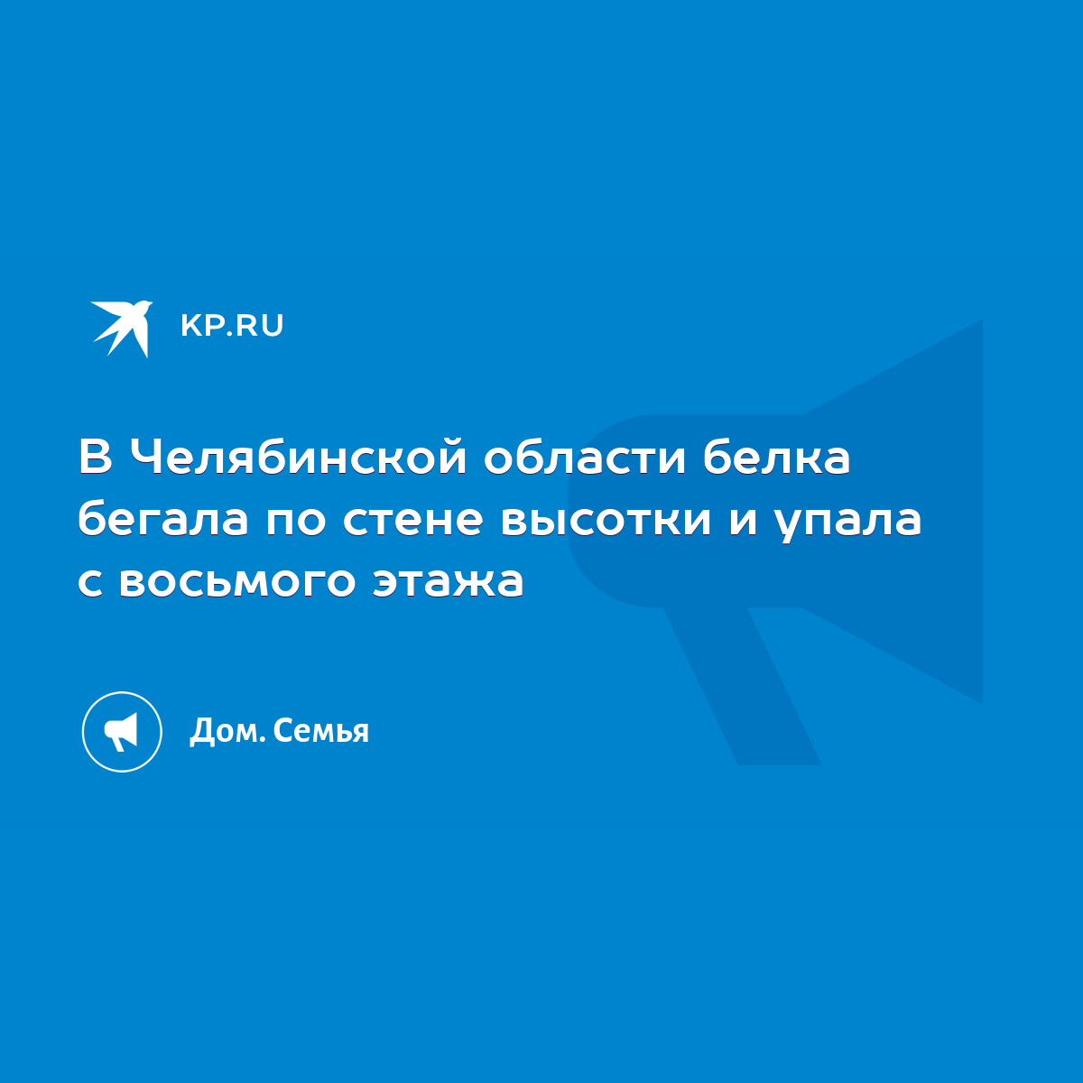 В Челябинской области белка бегала по стене высотки и упала с восьмого  этажа - KP.RU