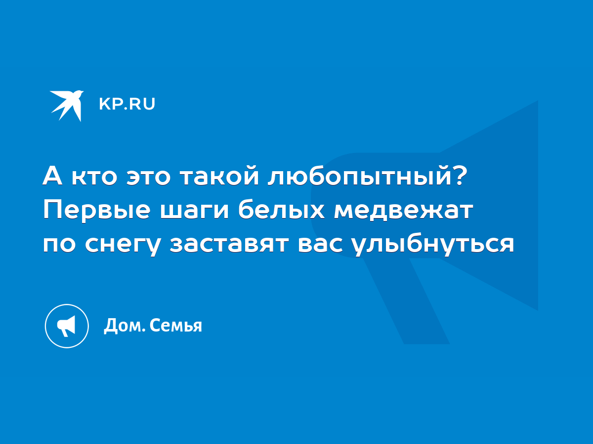 А кто это такой любопытный? Первые шаги белых медвежат по снегу заставят  вас улыбнуться - KP.RU