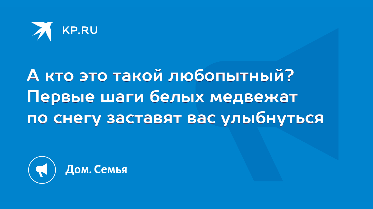 А кто это такой любопытный? Первые шаги белых медвежат по снегу заставят  вас улыбнуться - KP.RU