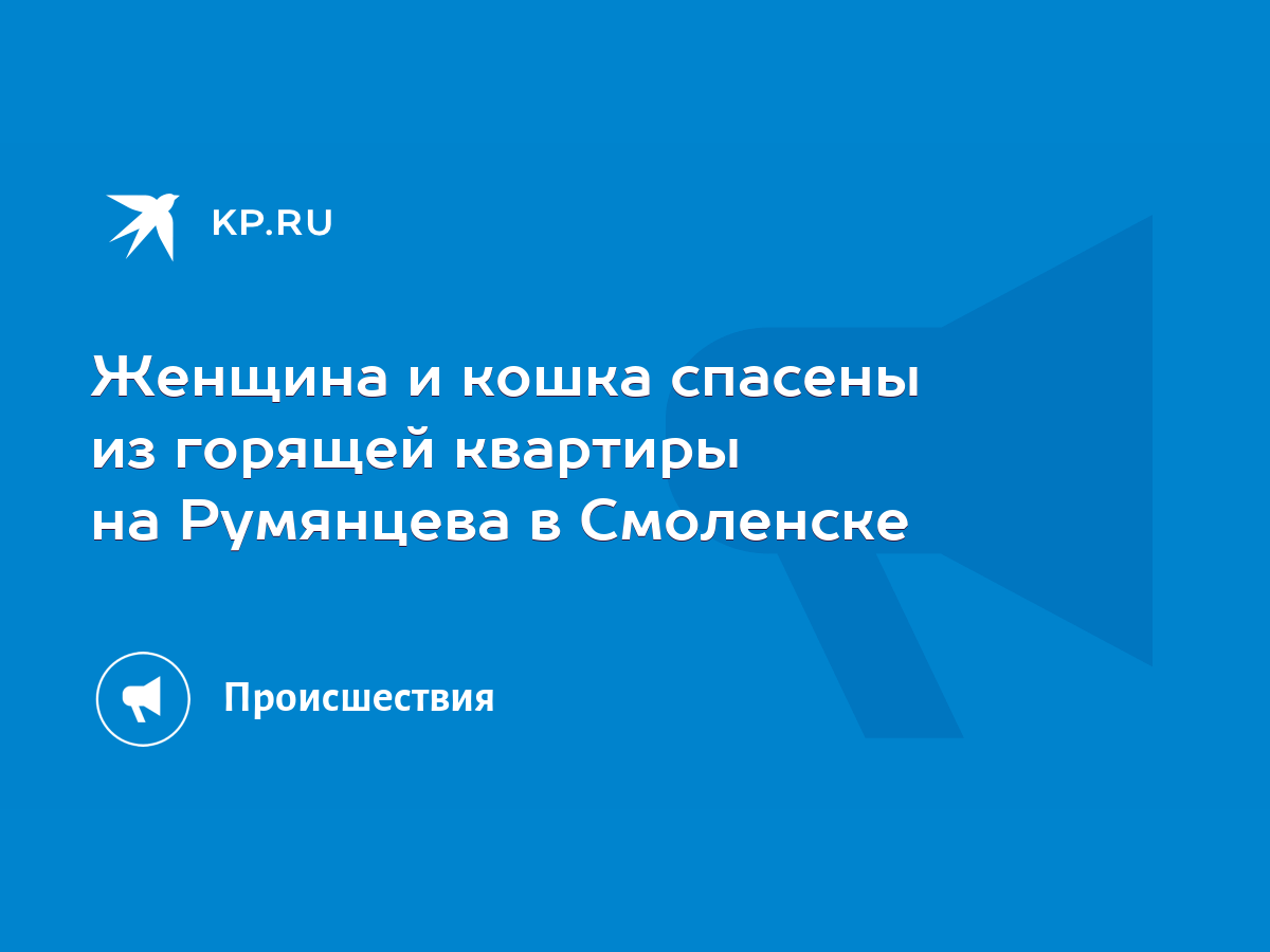 Женщина и кошка спасены из горящей квартиры на Румянцева в Смоленске - KP.RU