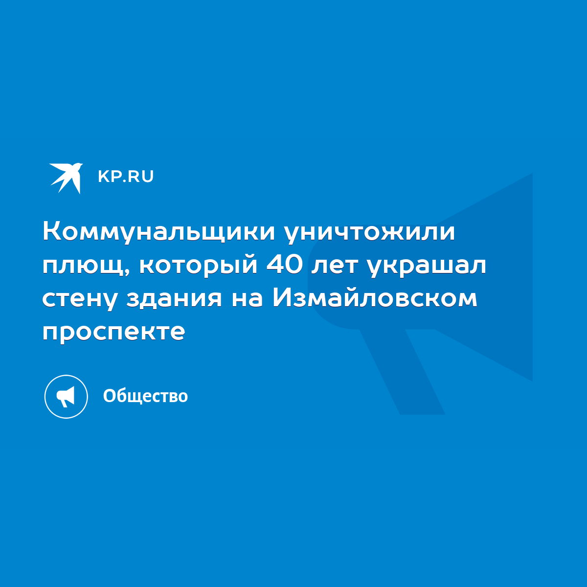 Коммунальщики уничтожили плющ, который 40 лет украшал стену здания на  Измайловском проспекте - KP.RU