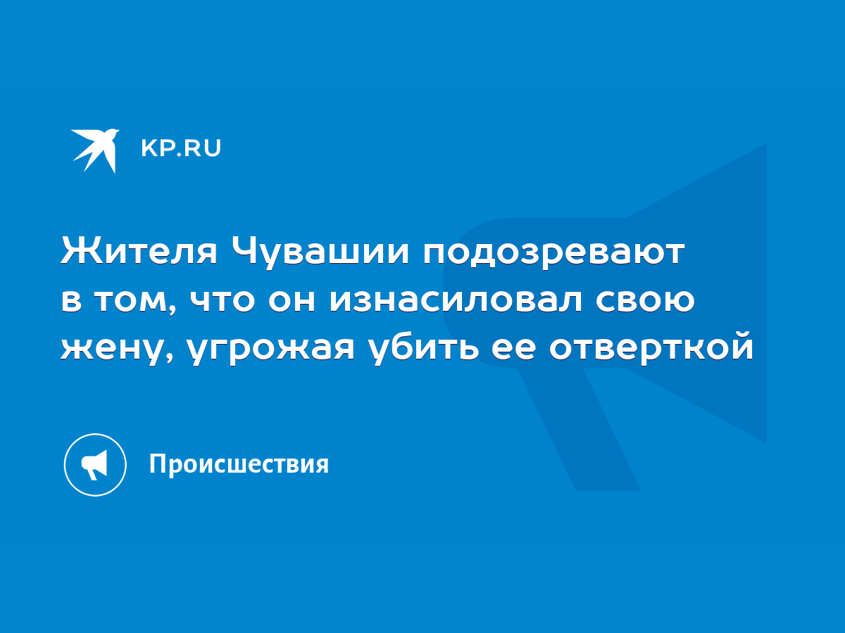 Жителя Чувашии подозревают в том, что он изнасиловал свою жену, угрожая  убить ее отверткой - KP.RU