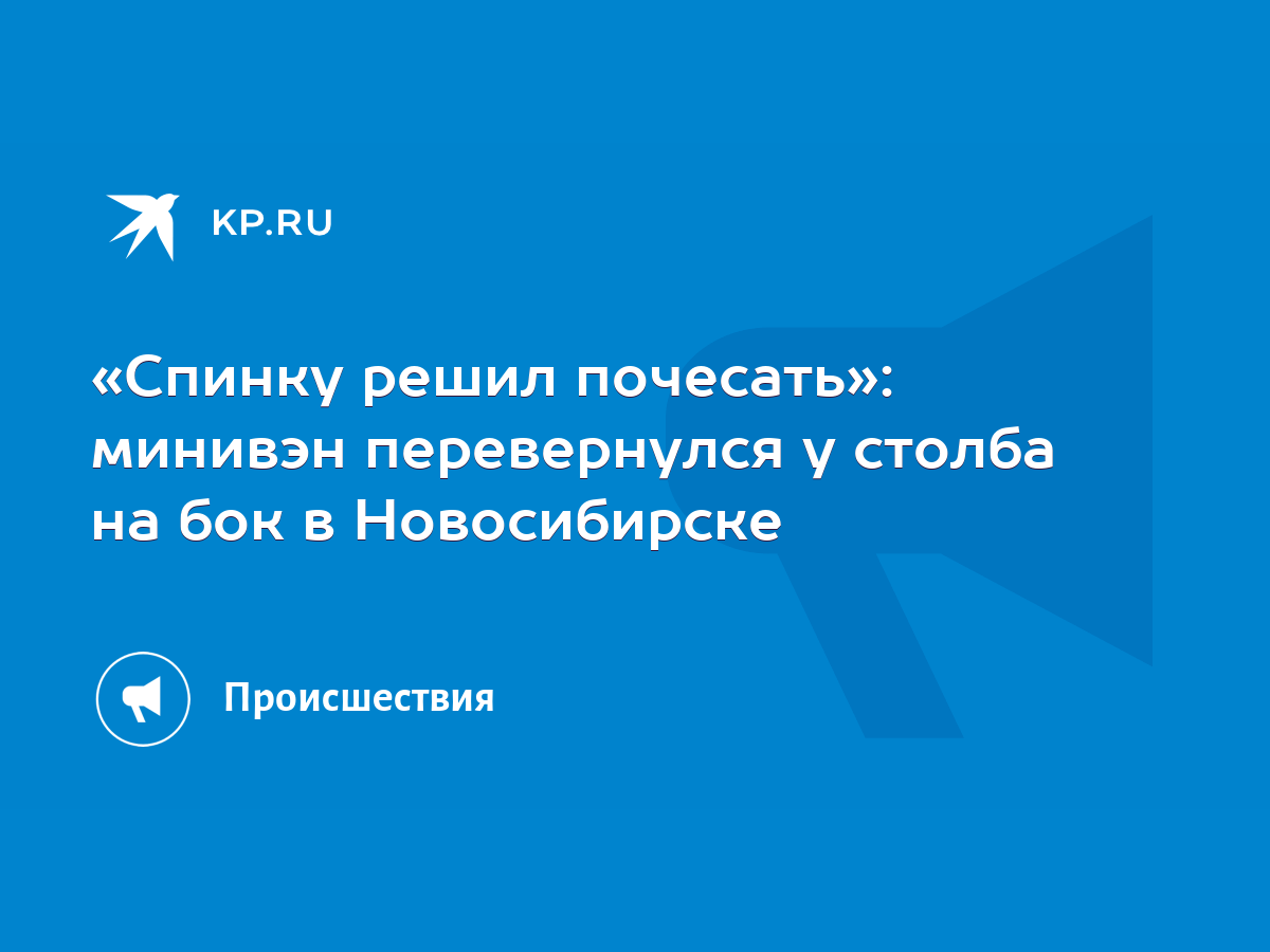 Спинку решил почесать»: минивэн перевернулся у столба на бок в Новосибирске  - KP.RU