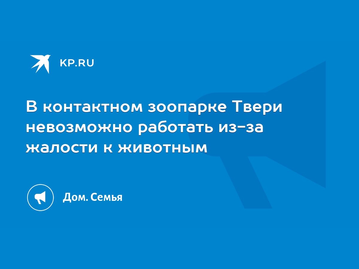 В контактном зоопарке Твери невозможно работать из-за жалости к животным -  KP.RU