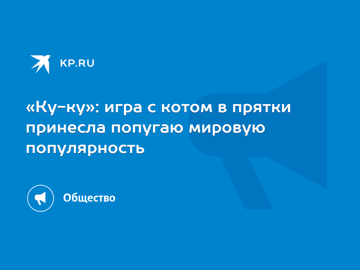 Ку-ку»: игра с котом в прятки принесла попугаю мировую популярность - KP.RU