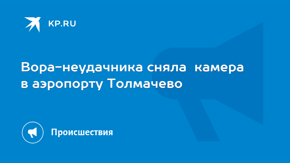 Вора-неудачника сняла камера в аэропорту Толмачево - KP.RU