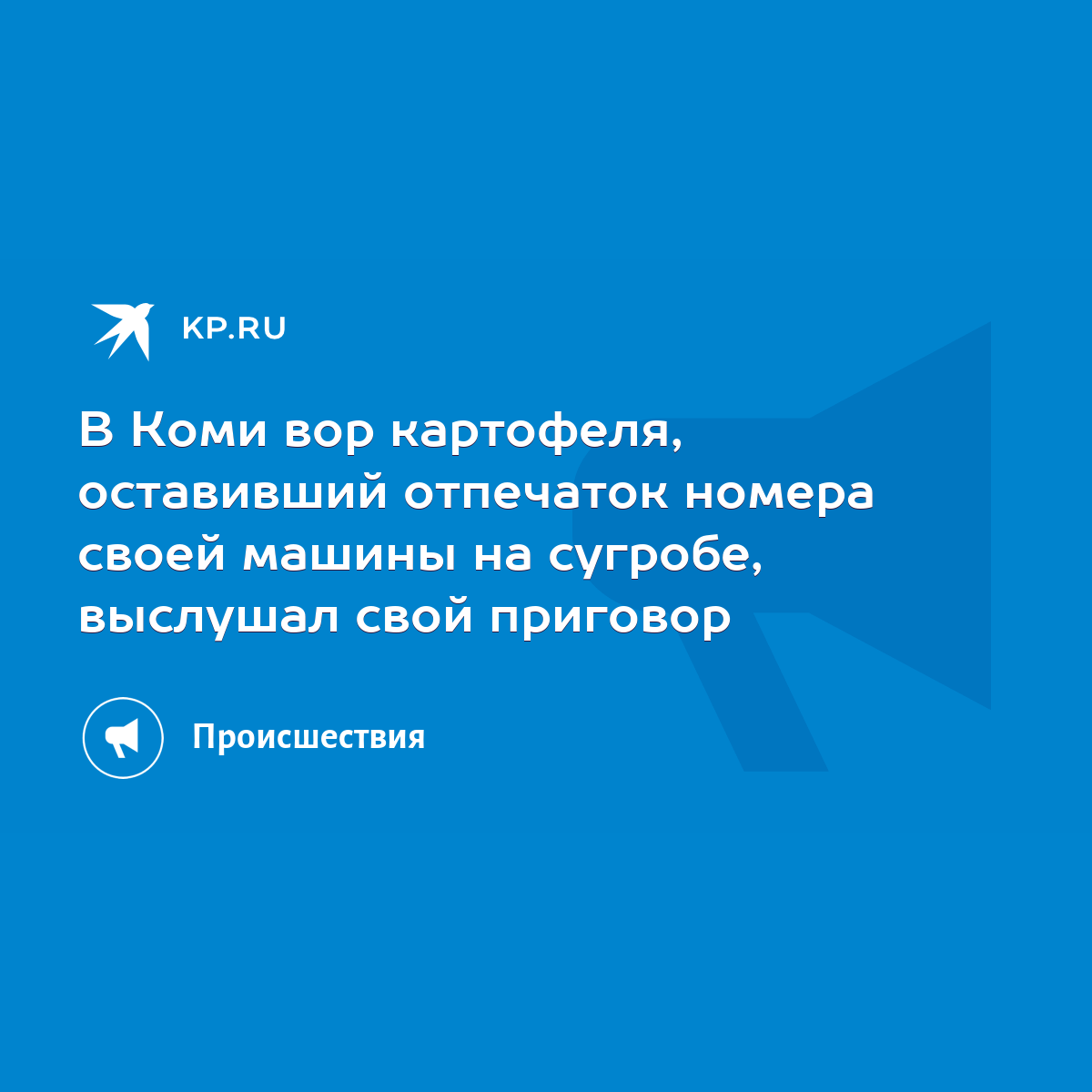 В Коми вор картофеля, оставивший отпечаток номера своей машины на сугробе,  выслушал свой приговор - KP.RU