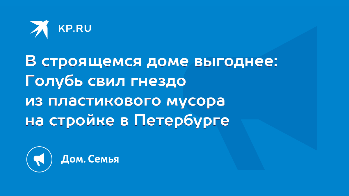 В строящемся доме выгоднее: Голубь свил гнездо из пластикового мусора на  стройке в Петербурге - KP.RU