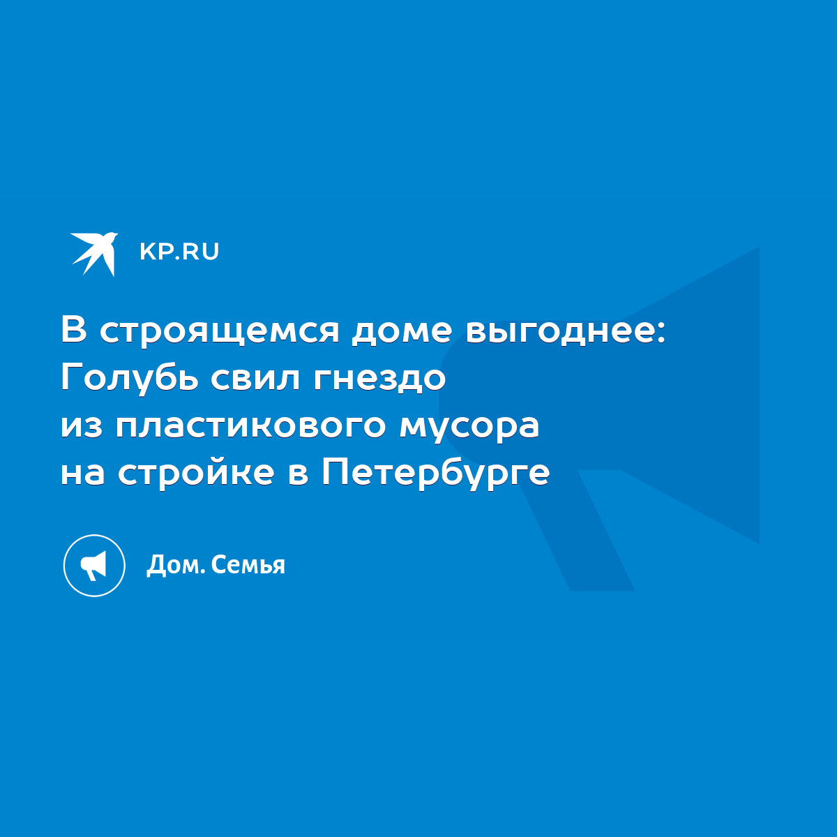 В строящемся доме выгоднее: Голубь свил гнездо из пластикового мусора на  стройке в Петербурге - KP.RU