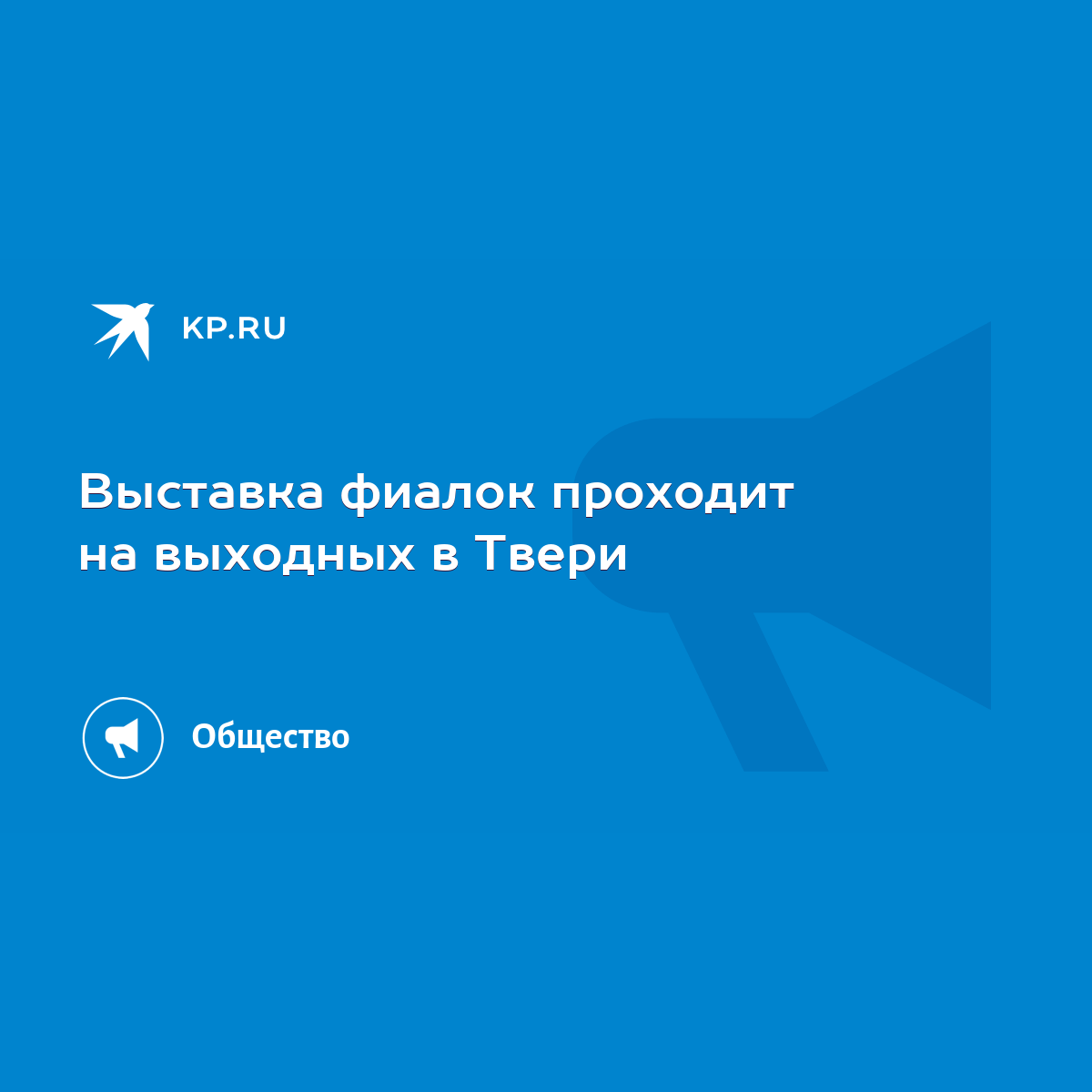 Выставка фиалок проходит на выходных в Твери - KP.RU