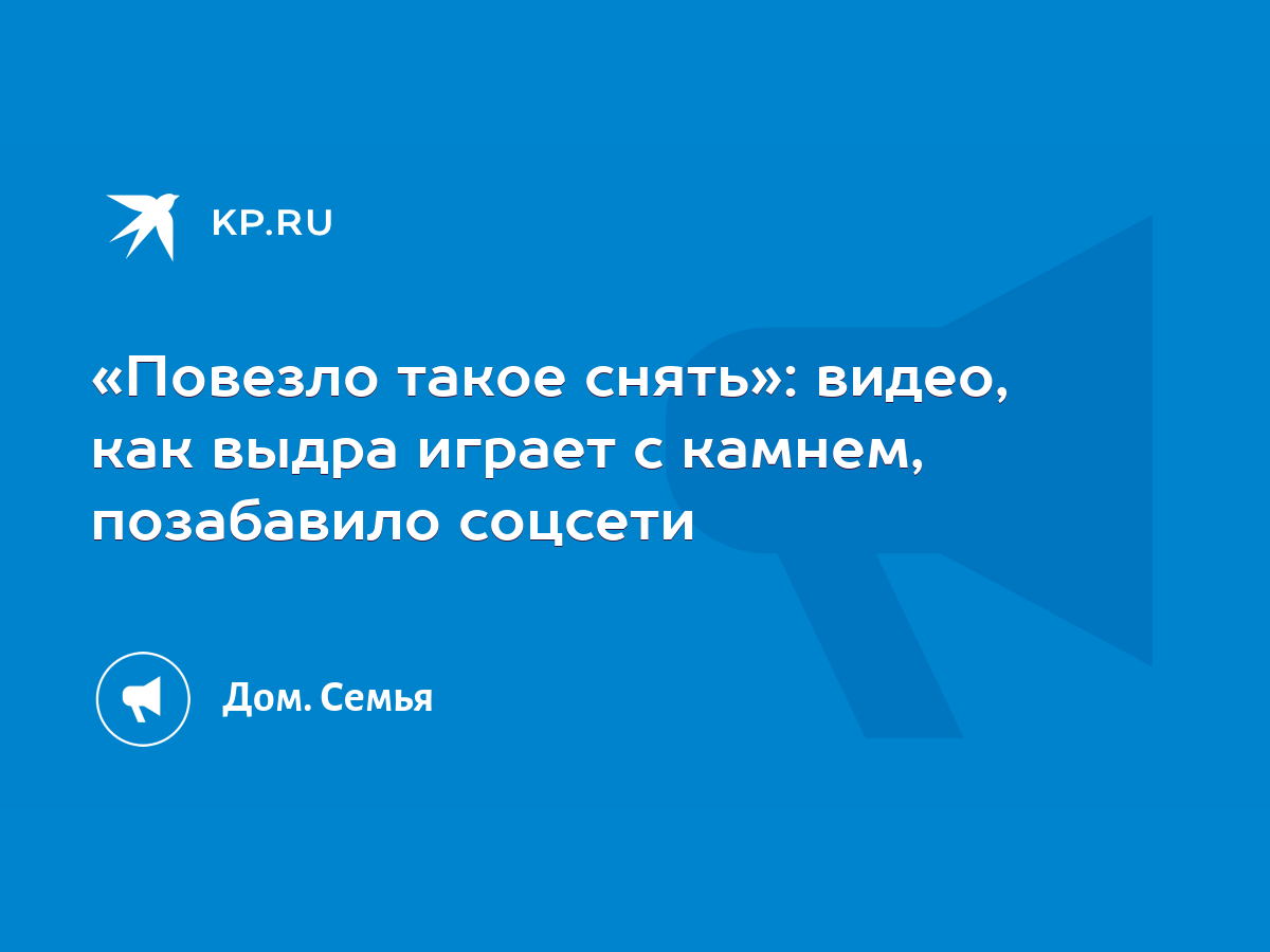 Повезло такое снять»: видео, как выдра играет с камнем, позабавило соцсети  - KP.RU