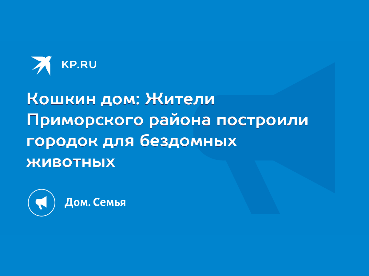 Кошкин дом: Жители Приморского района построили городок для бездомных  животных - KP.RU