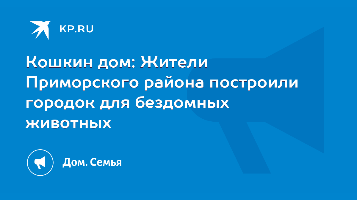 Кошкин дом: Жители Приморского района построили городок для бездомных  животных - KP.RU