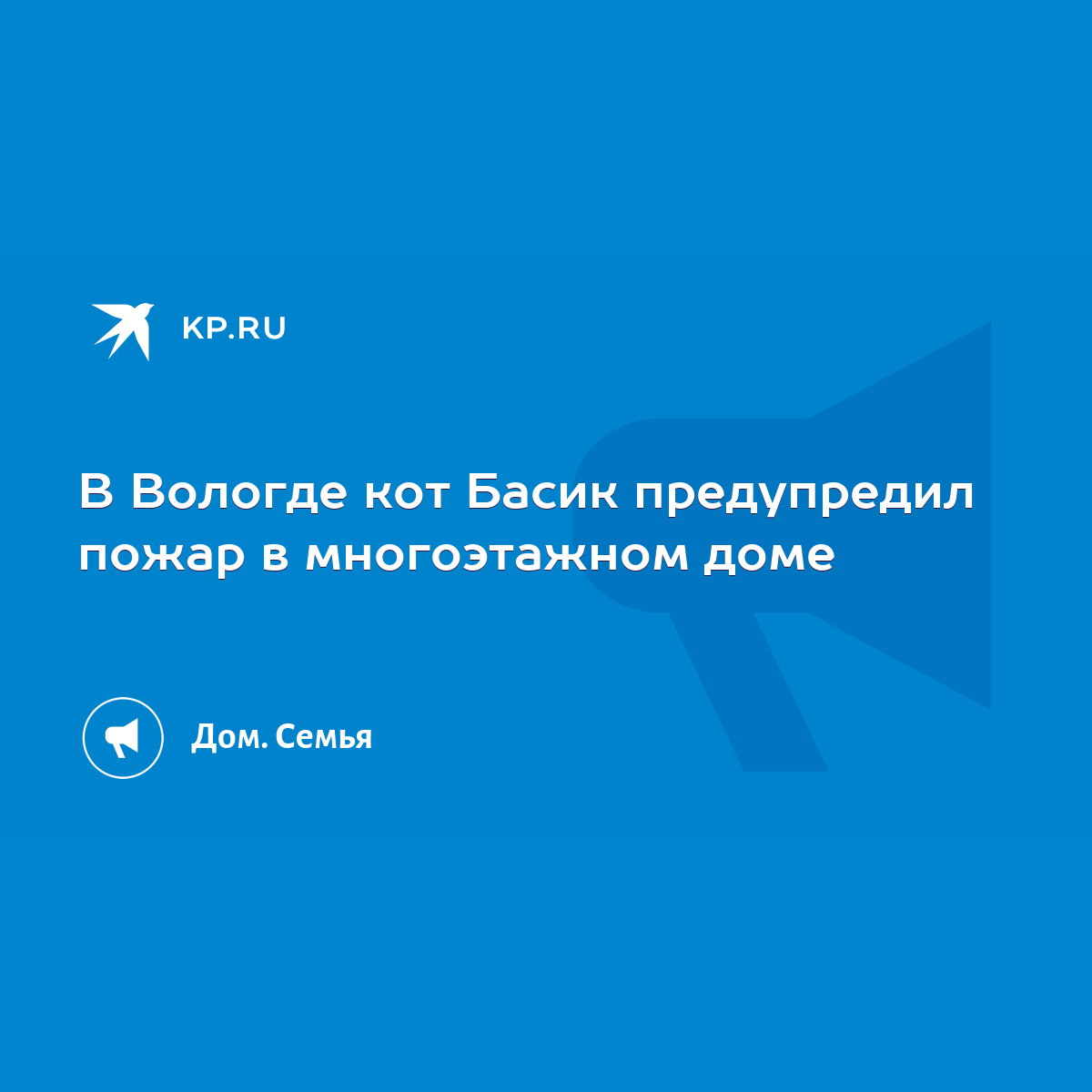 В Вологде кот Басик предупредил пожар в многоэтажном доме - KP.RU