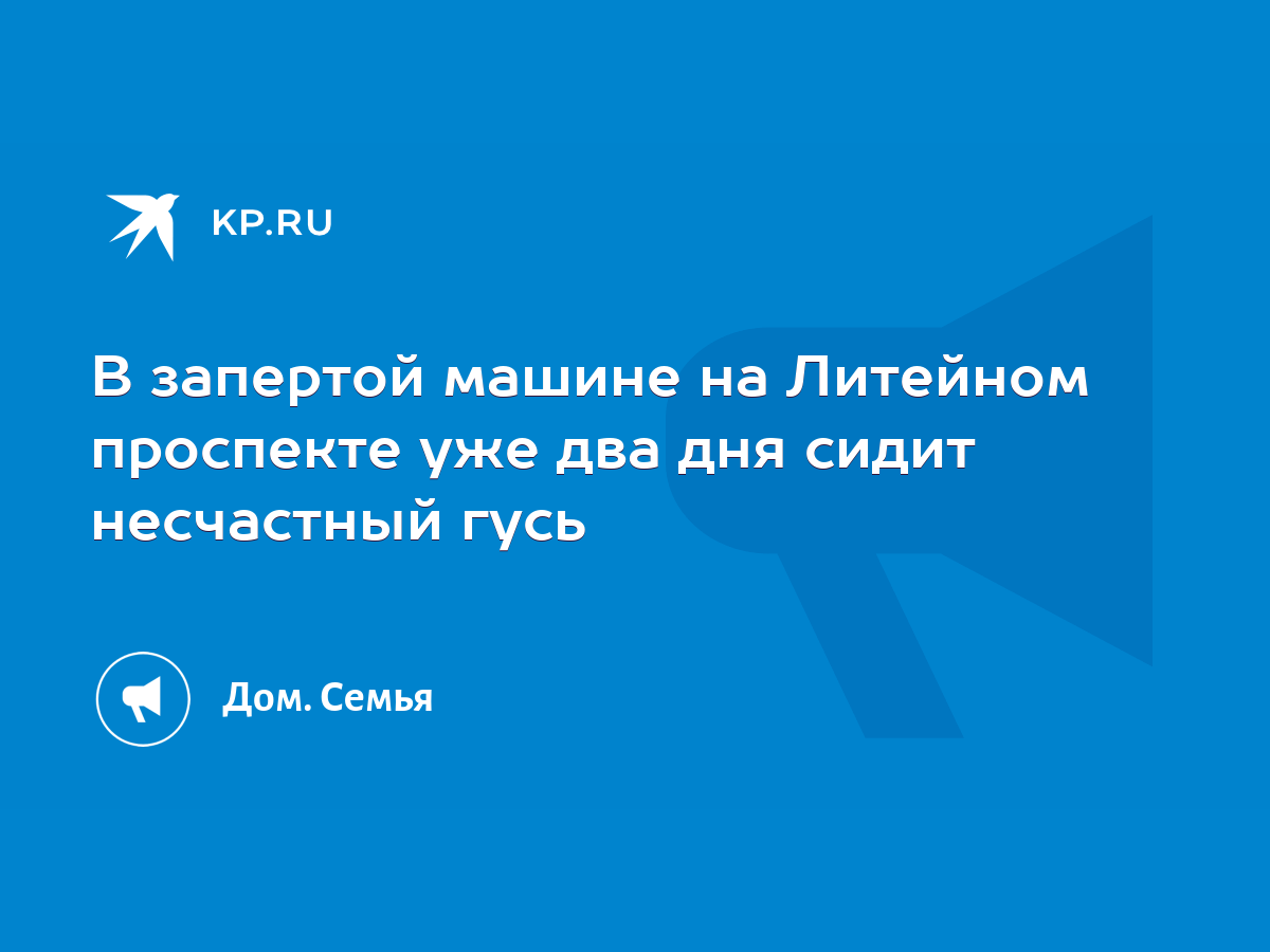 В запертой машине на Литейном проспекте уже два дня сидит несчастный гусь -  KP.RU