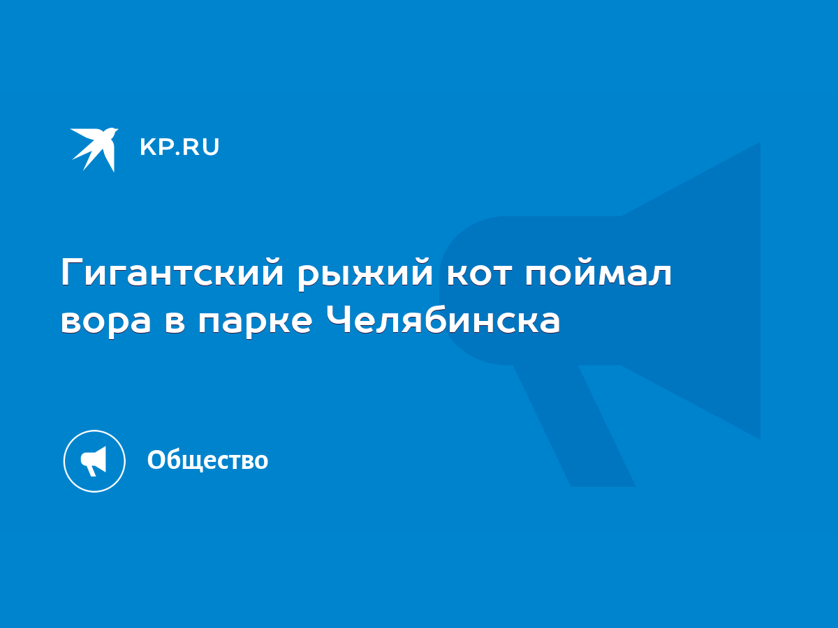 Гигантский рыжий кот поймал вора в парке Челябинска - KP.RU