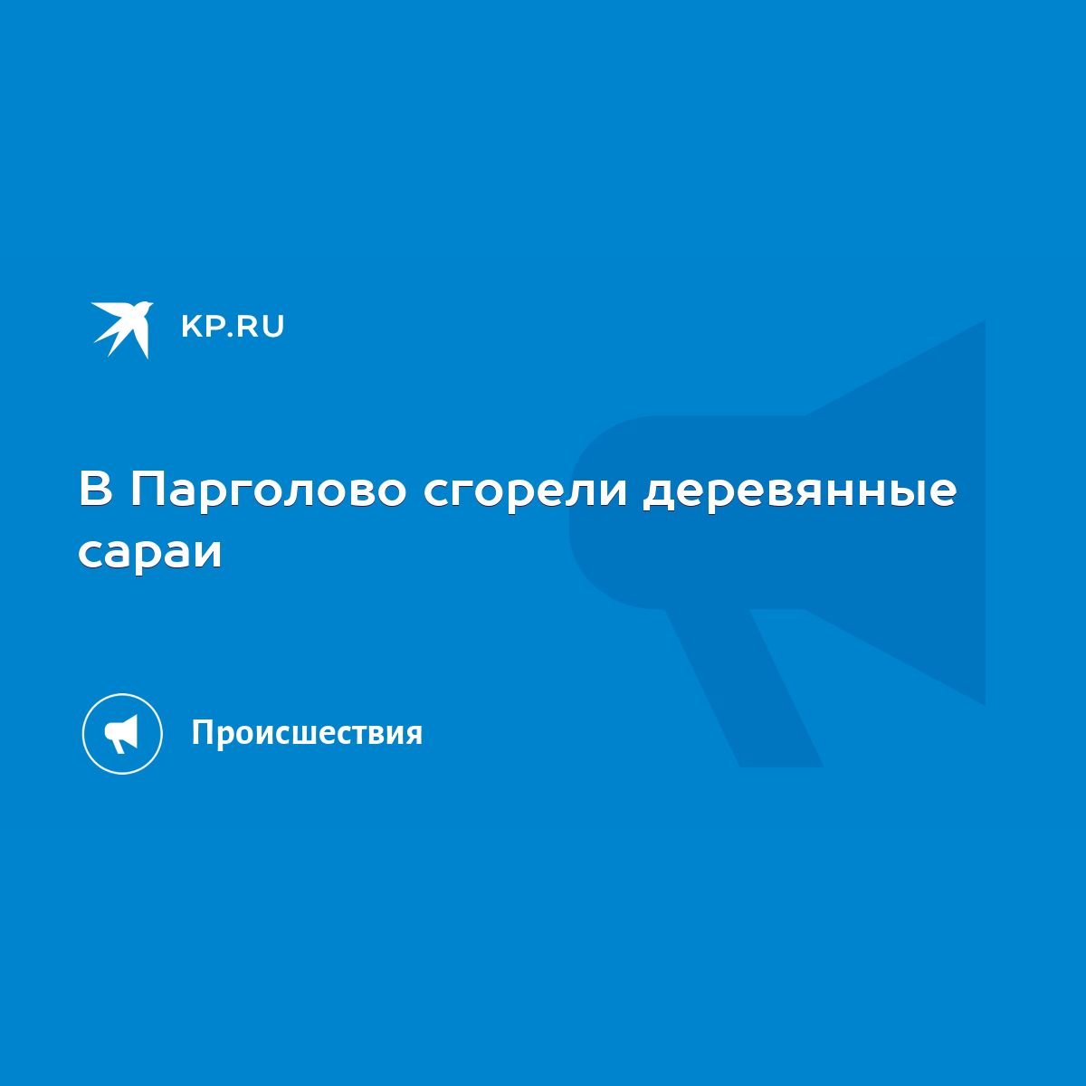 В Парголово сгорели деревянные сараи - KP.RU