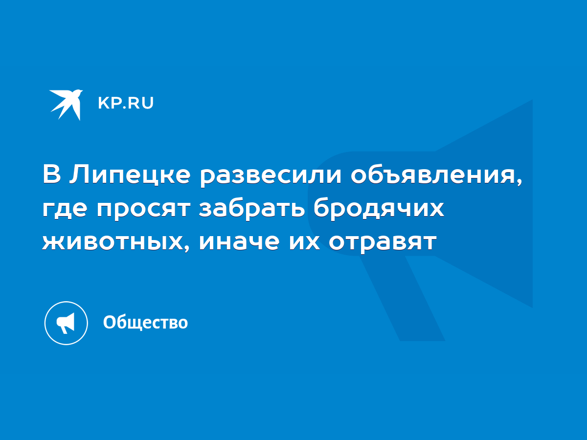 В Липецке развесили объявления, где просят забрать бродячих животных, иначе  их отравят - KP.RU