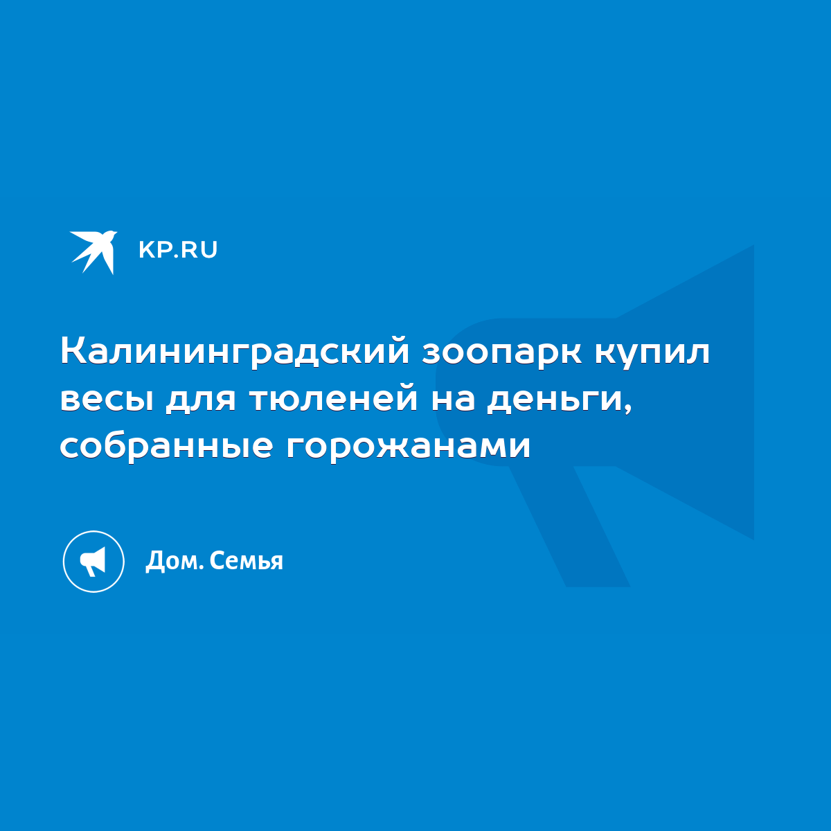 Калининградский зоопарк купил весы для тюленей на деньги, собранные  горожанами - KP.RU