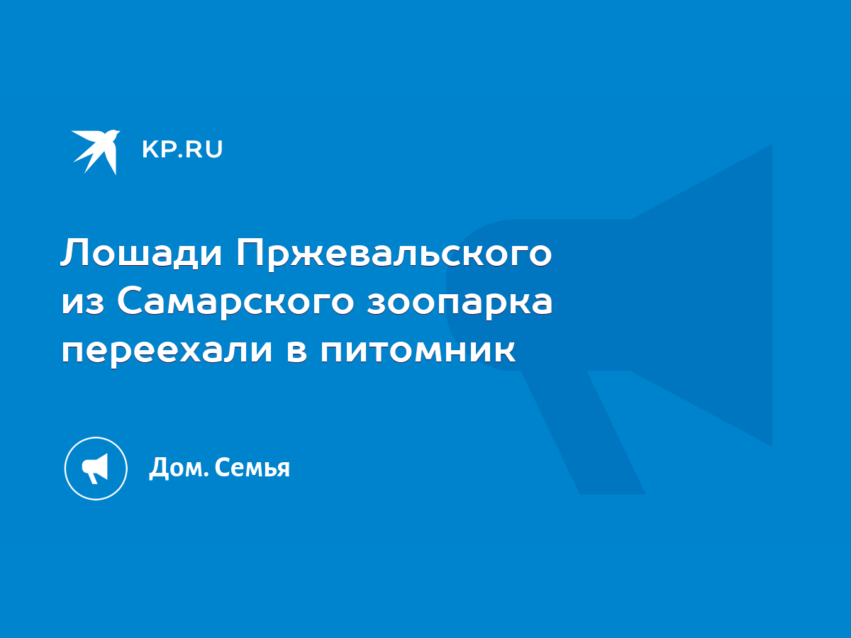 Лошади Пржевальского из Самарского зоопарка переехали в питомник - KP.RU