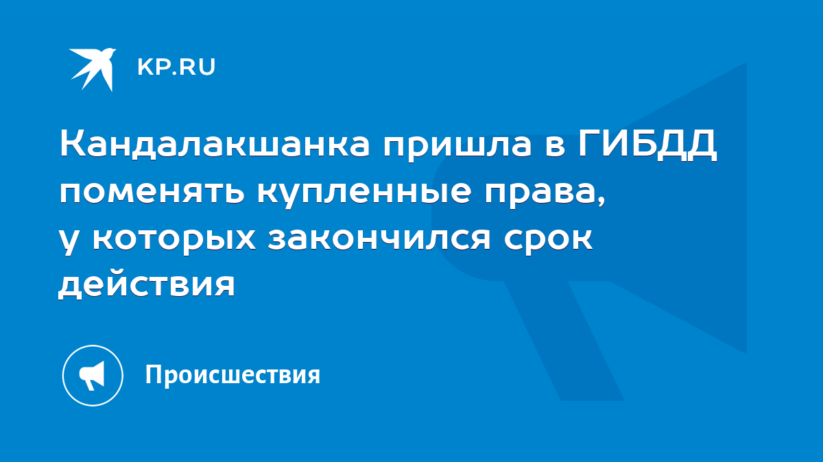 Кандалакшанка пришла в ГИБДД поменять купленные права, у которых закончился  срок действия - KP.RU