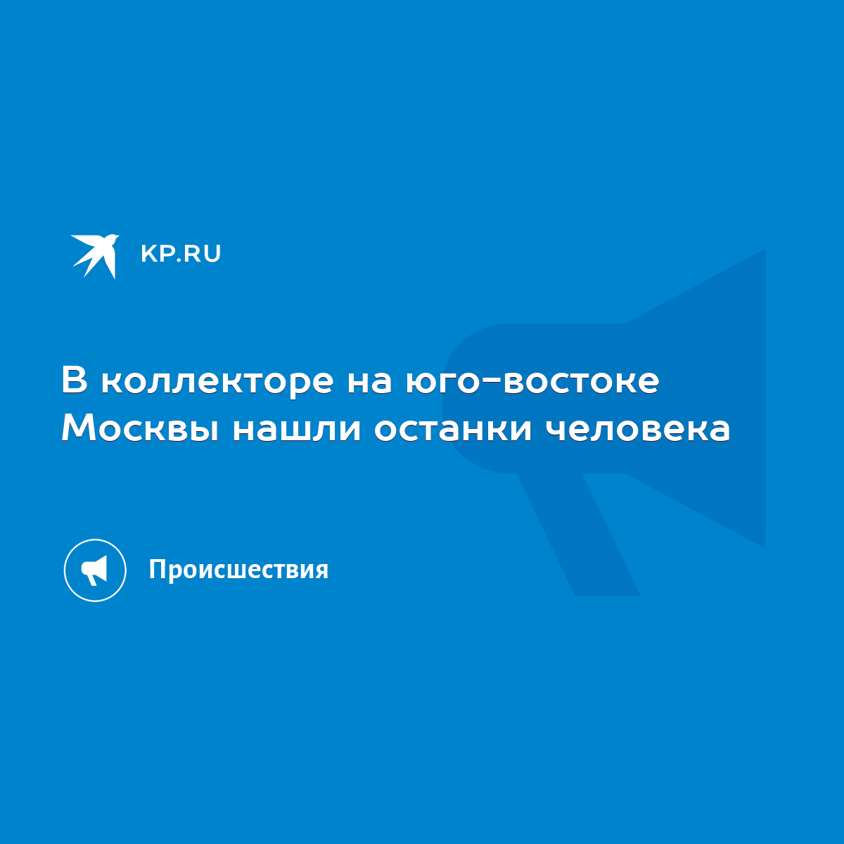 В коллекторе на юго-востоке Москвы нашли останки человека - KP.RU