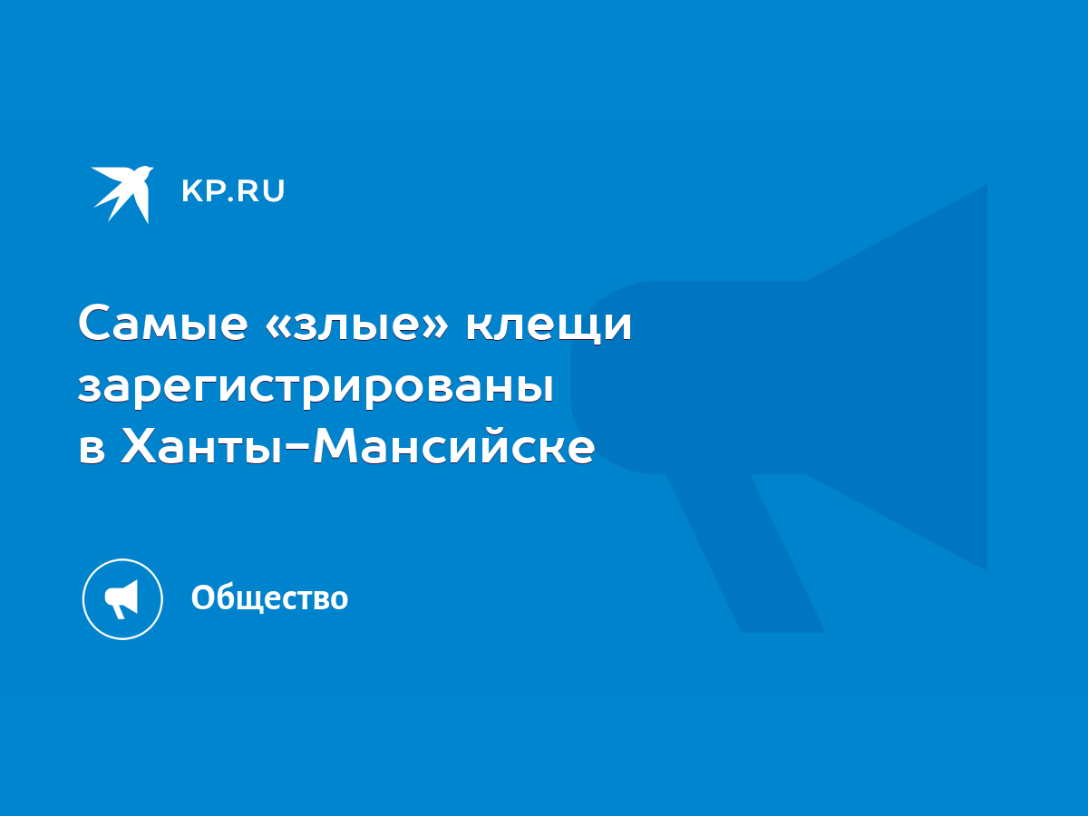 Самые «злые» клещи зарегистрированы в Ханты-Мансийске - KP.RU