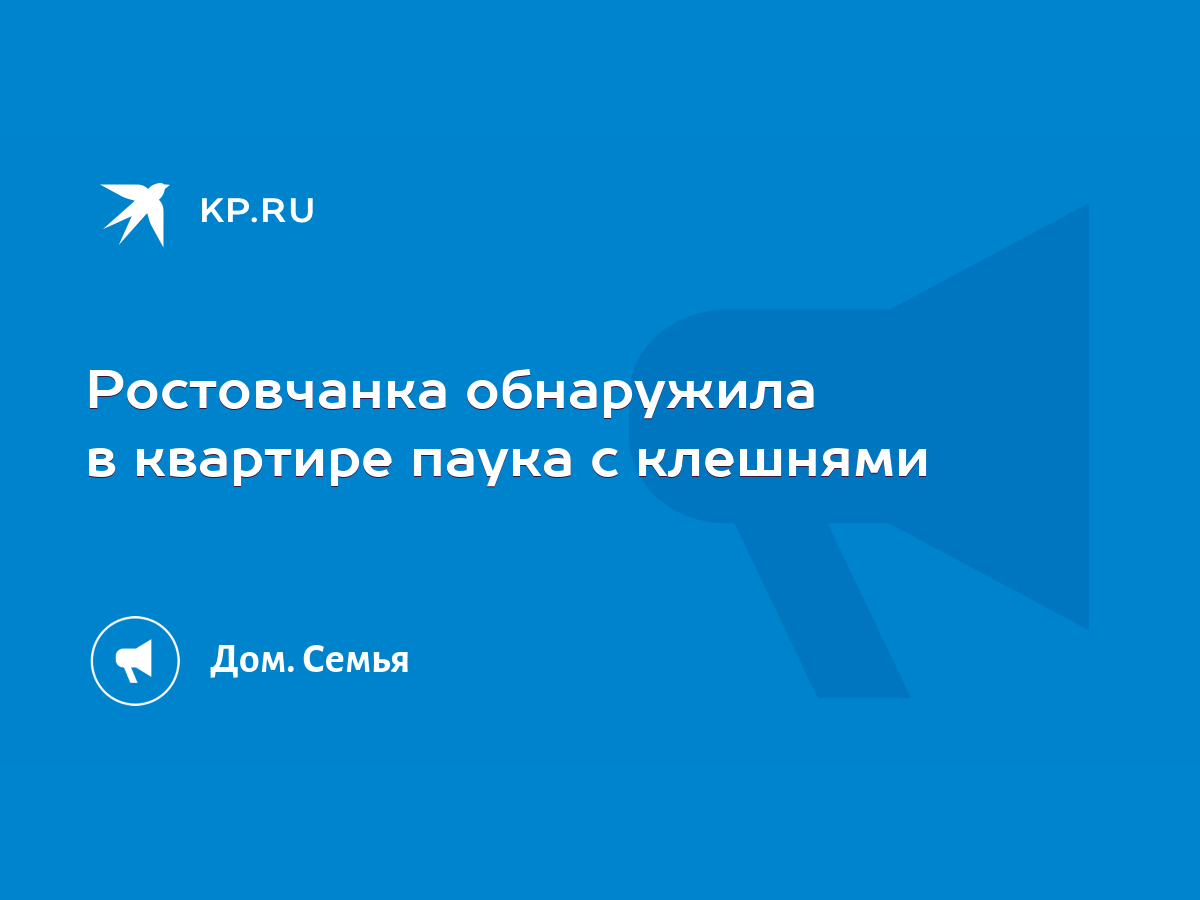 Ростовчанка обнаружила в квартире паука с клешнями - KP.RU