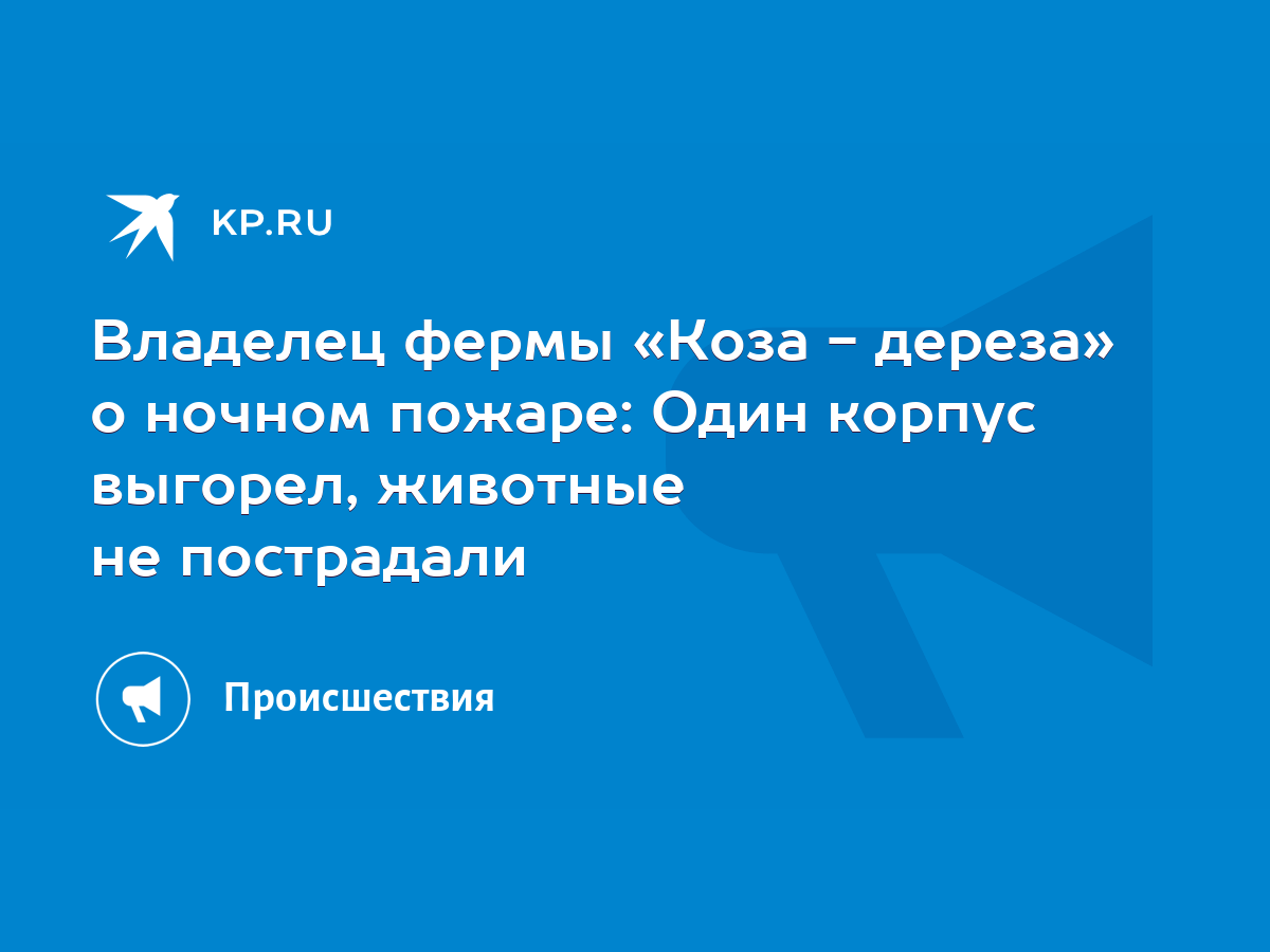 Владелец фермы «Коза - дереза» о ночном пожаре: Один корпус выгорел,  животные не пострадали - KP.RU