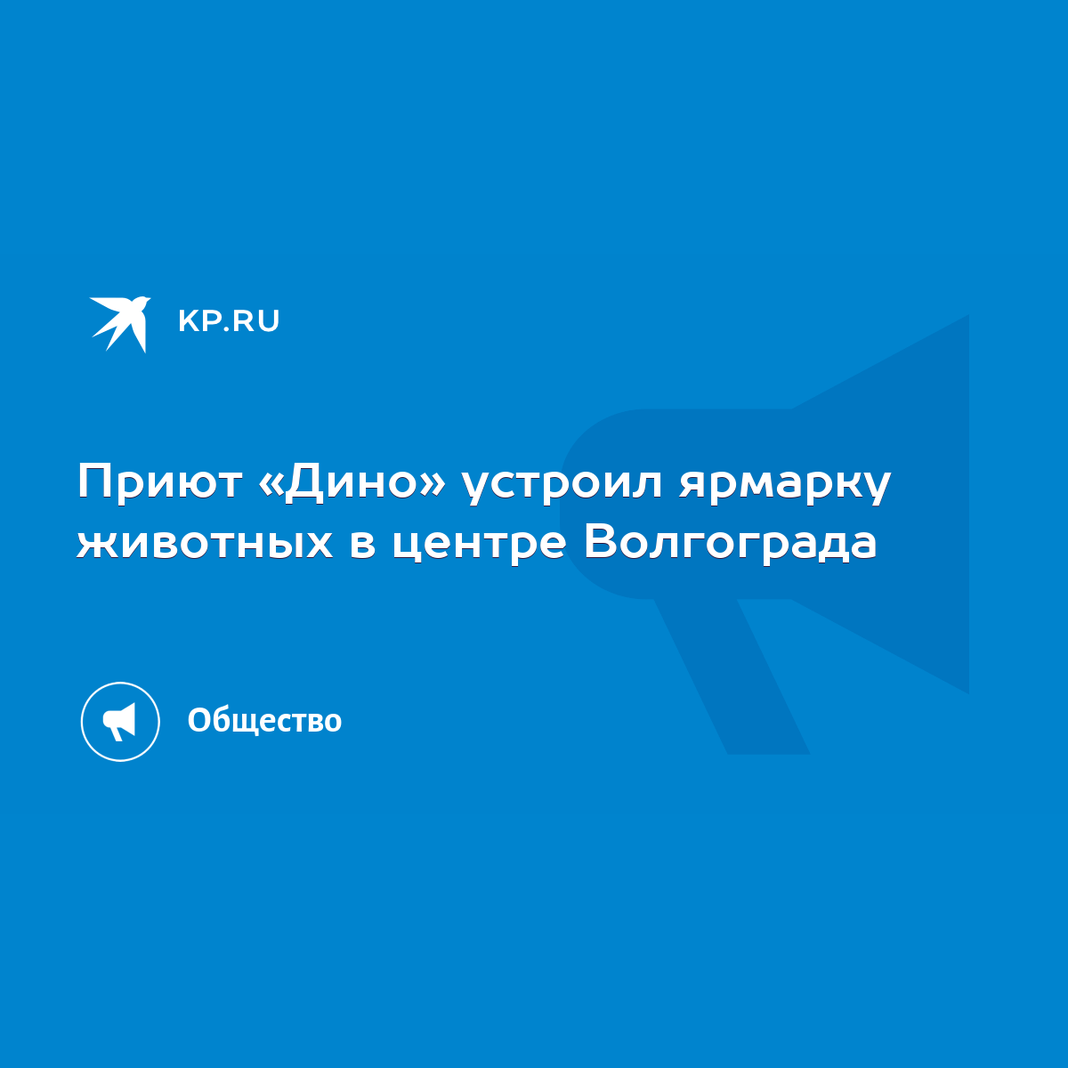 Приют «Дино» устроил ярмарку животных в центре Волгограда - KP.RU