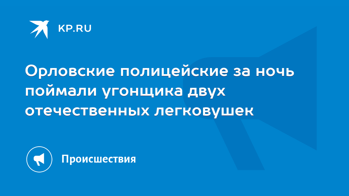 Орловские полицейские за ночь поймали угонщика двух отечественных  легковушек - KP.RU