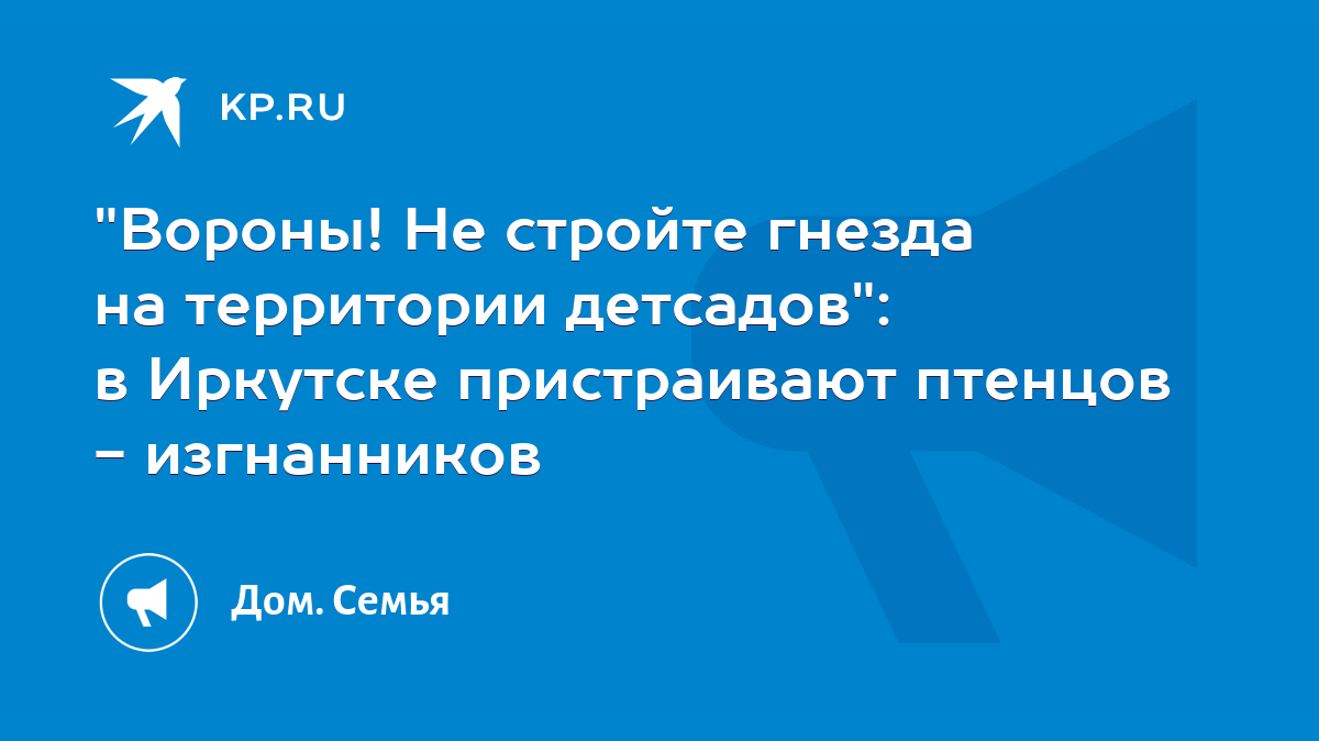 Вороны! Не стройте гнезда на территории детсадов