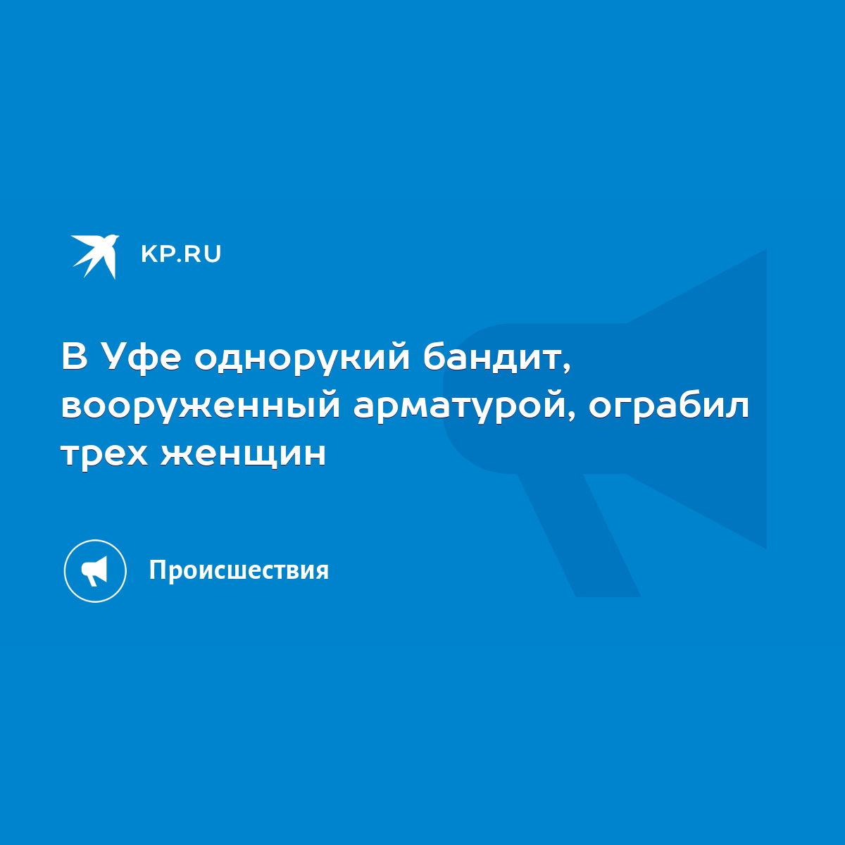 В Уфе однорукий бандит, вооруженный арматурой, ограбил трех женщин - KP.RU