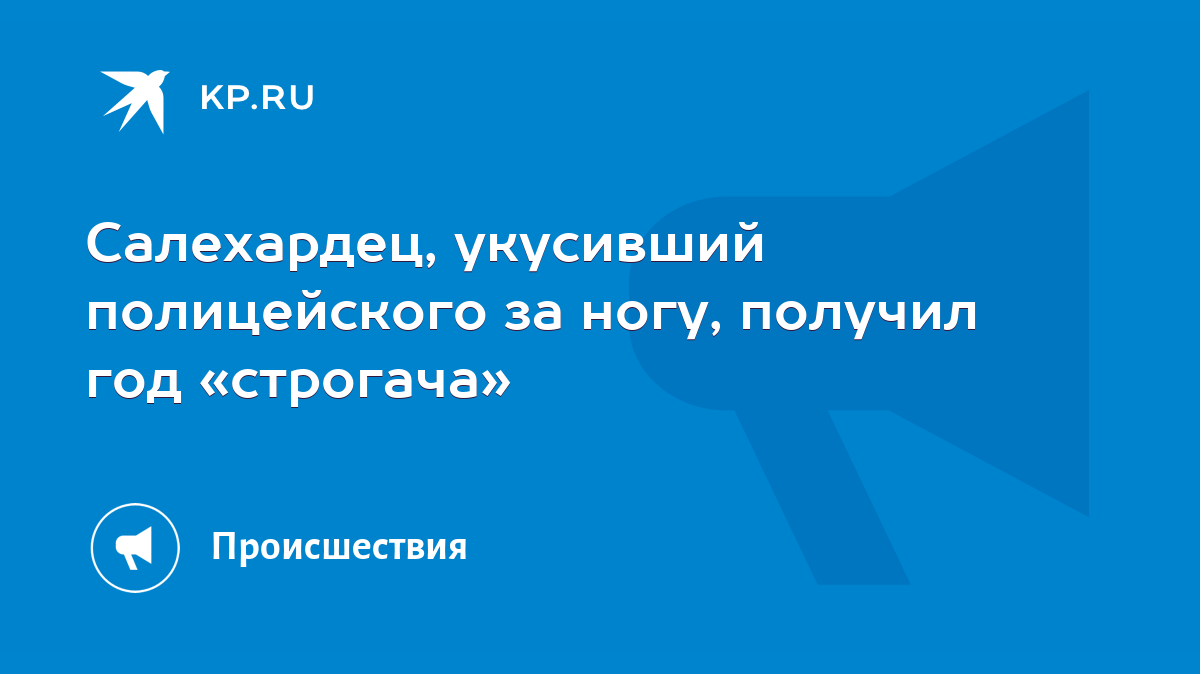 Салехардец, укусивший полицейского за ногу, получил год «строгача» - KP.RU