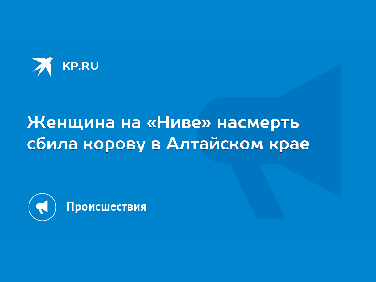 Женщина на «Ниве» насмерть сбила корову в Алтайском крае - KP.RU