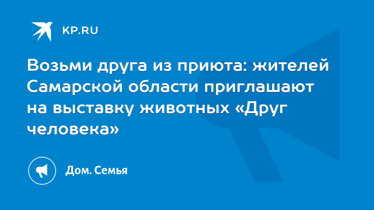 Возьми друга из приюта: жителей Самарской области приглашают на выставку  животных «Друг человека» - KP.RU