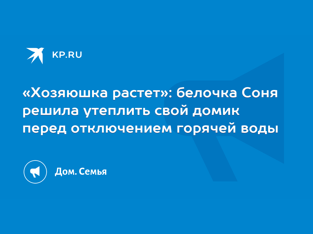 Хозяюшка растет»: белочка Соня решила утеплить свой домик перед отключением  горячей воды - KP.RU