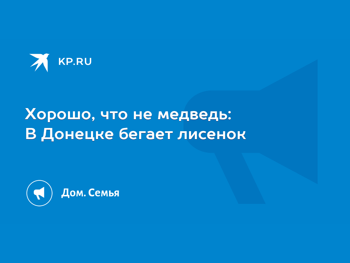 Хорошо, что не медведь: В Донецке бегает лисенок - KP.RU