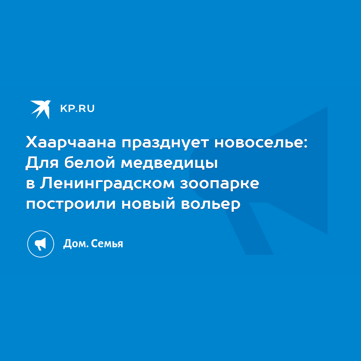 Хаарчаана празднует новоселье: Для белой медведицы в Ленинградском зоопарке  построили новый вольер - KP.RU