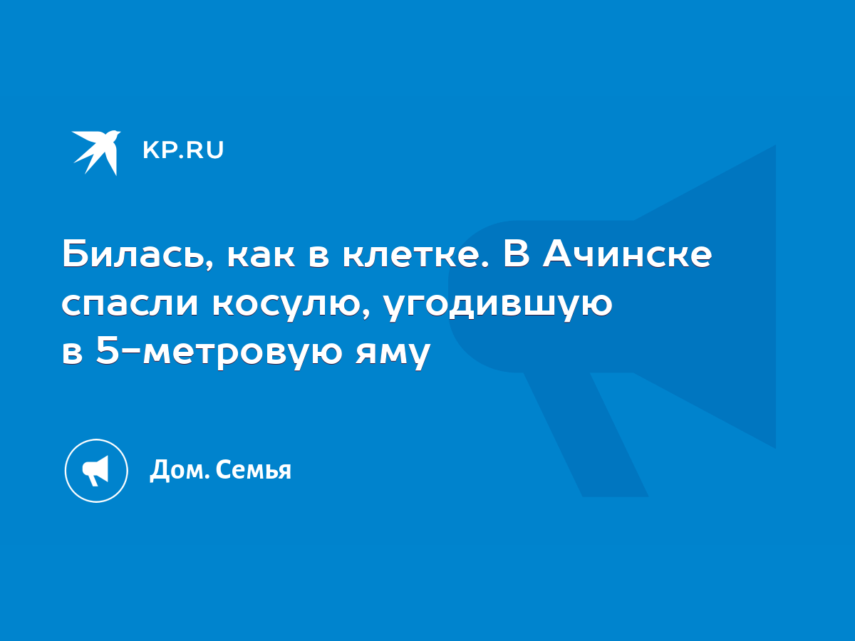 Билась, как в клетке. В Ачинске спасли косулю, угодившую в 5-метровую яму -  KP.RU