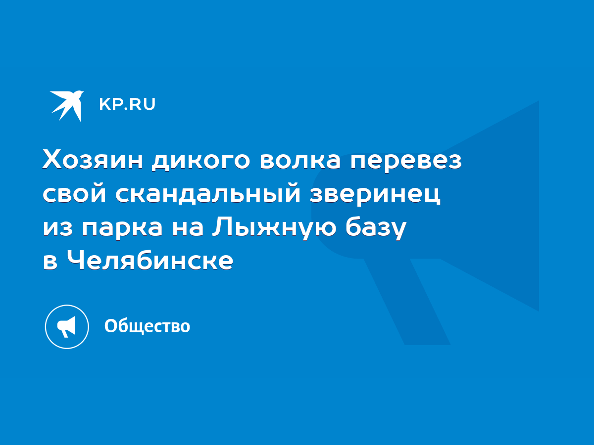 Хозяин дикого волка перевез свой скандальный зверинец из парка на Лыжную  базу в Челябинске - KP.RU