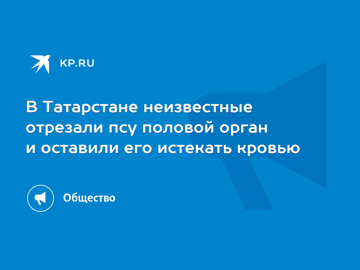 В Татарстане неизвестные отрезали псу половой орган и оставили его истекать  кровью - KP.RU