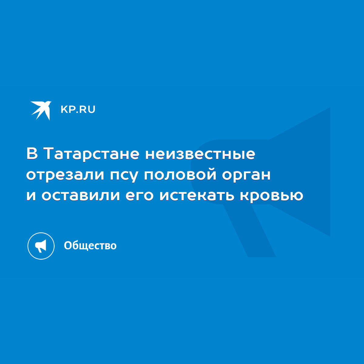 В Татарстане неизвестные отрезали псу половой орган и оставили его истекать  кровью - KP.RU