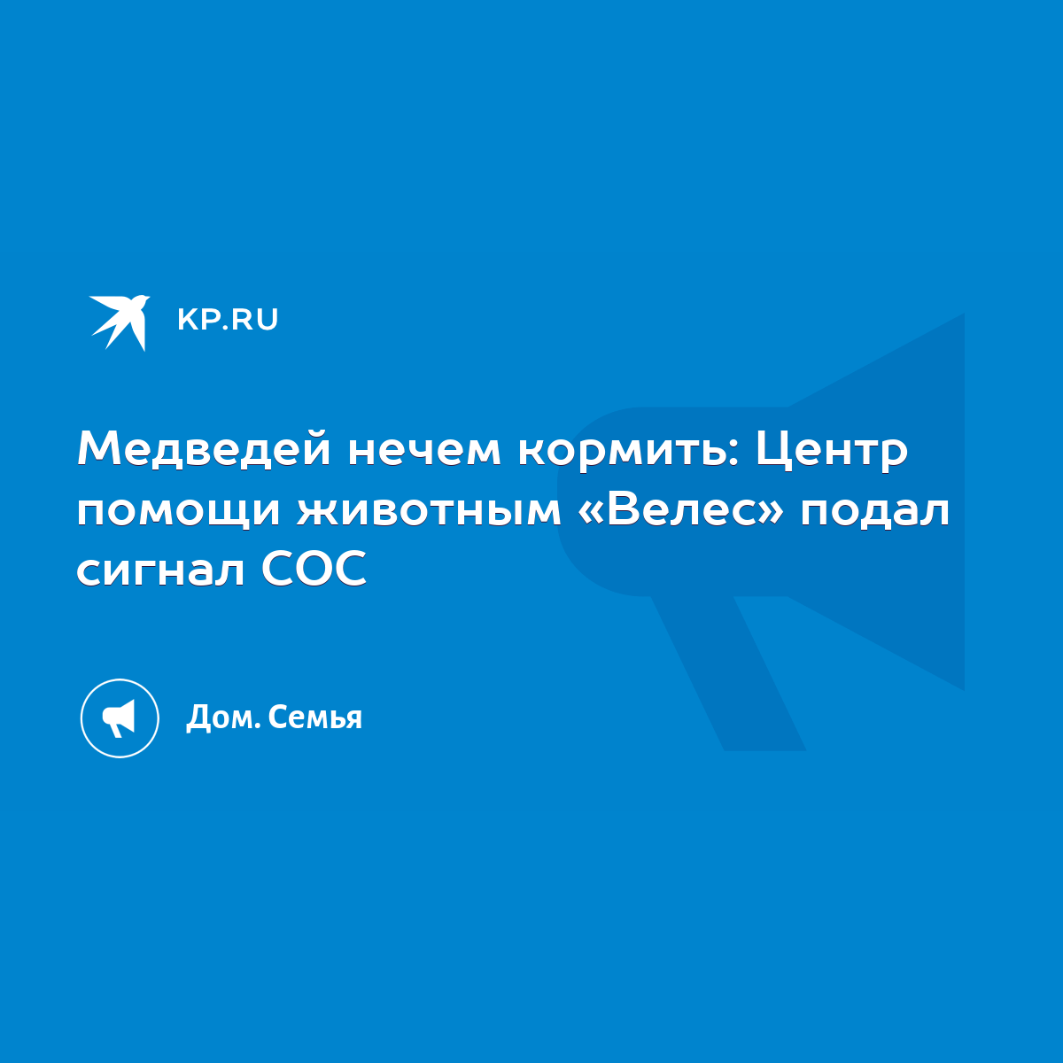 Медведей нечем кормить: Центр помощи животным «Велес» подал сигнал СОС -  KP.RU