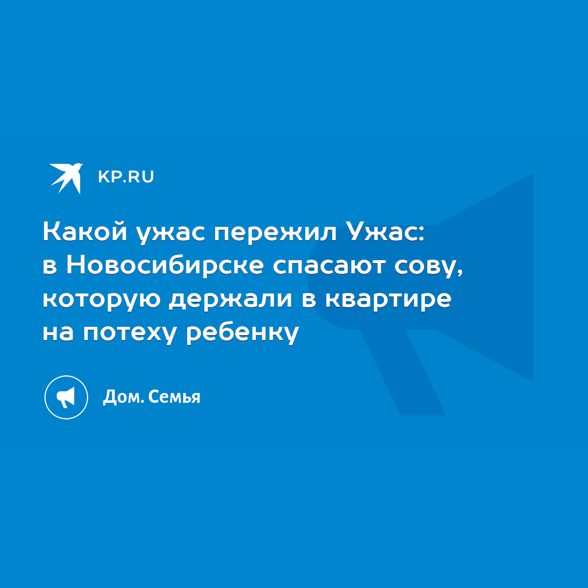 Какой ужас пережил Ужас: в Новосибирске спасают сову, которую держали в  квартире на потеху ребенку - KP.RU